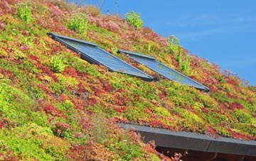 East Kilbride living roof systems
